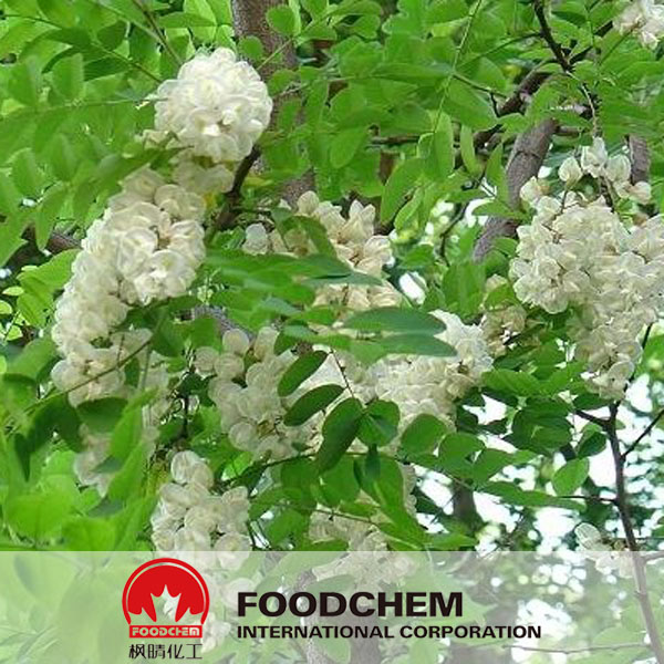 Sophora Japonica Extract suppliers